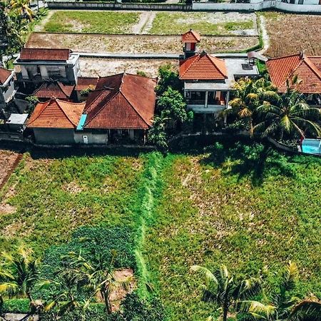 Semanggi Cottage أوبود المظهر الخارجي الصورة