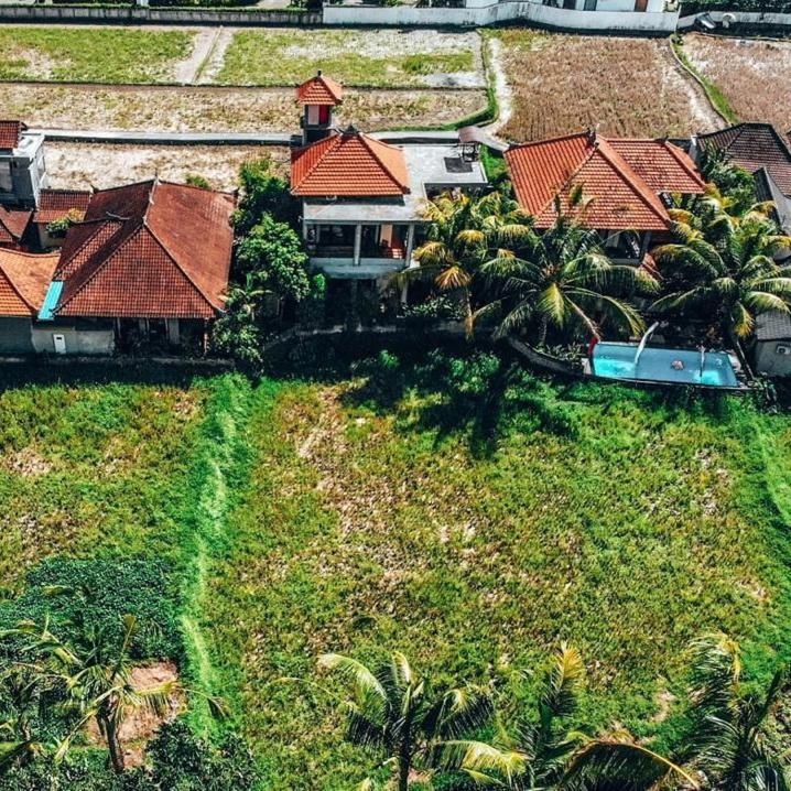 Semanggi Cottage أوبود المظهر الخارجي الصورة