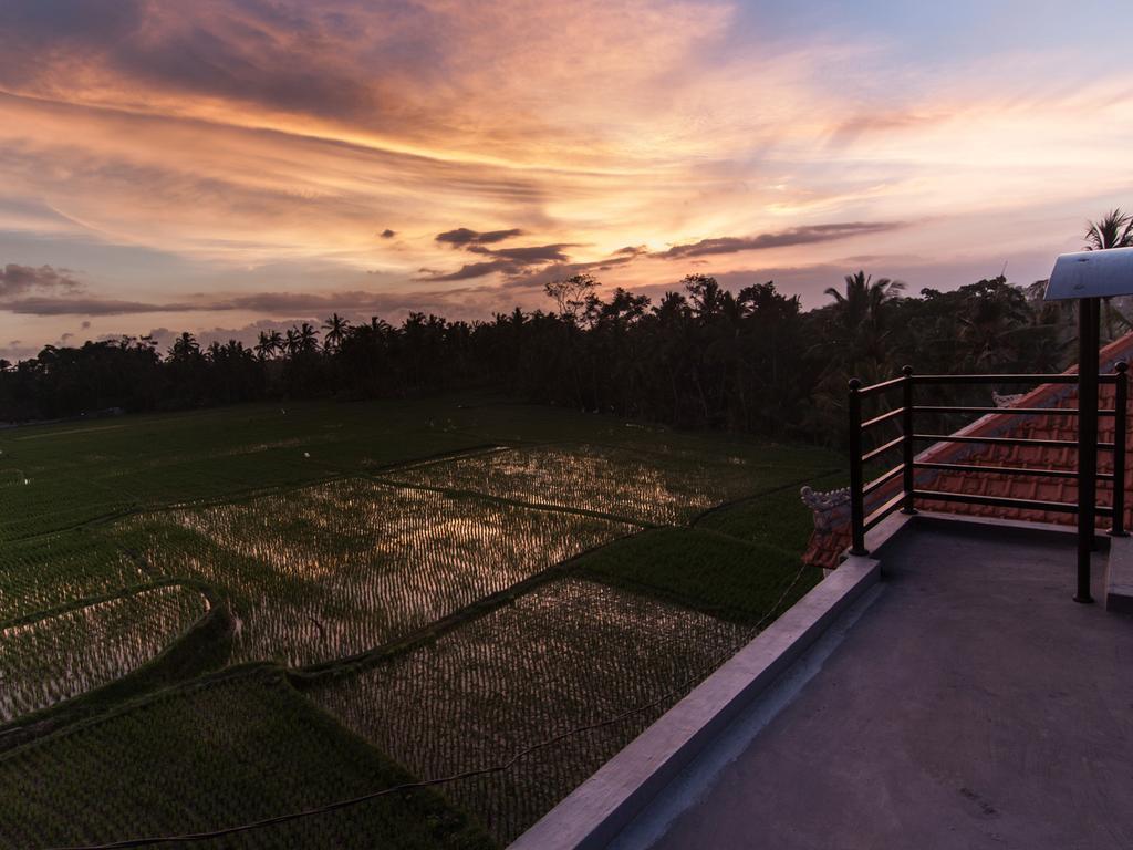 Semanggi Cottage أوبود المظهر الخارجي الصورة