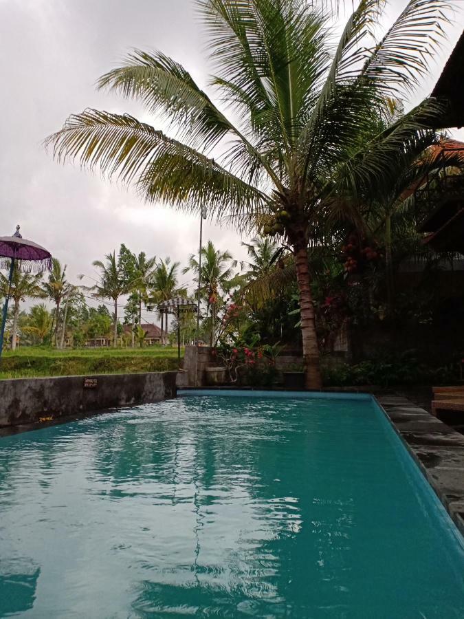 Semanggi Cottage أوبود المظهر الخارجي الصورة